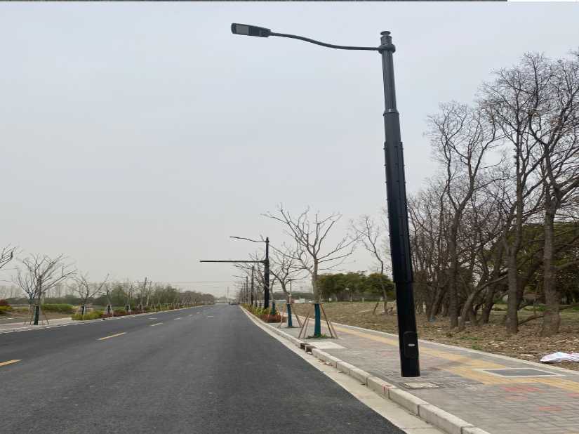 宝兴县上海综合杆 太阳能路灯工程